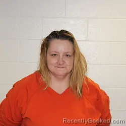 Mugshot of AMY MICHELLE LEWIS