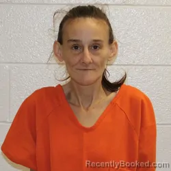 Mugshot of AMANDA MARIE WILLIAMSON
