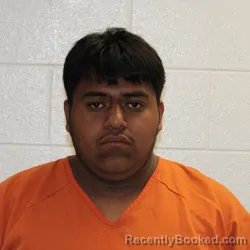 Mugshot of BYARYAN MIGUEL BOLANOS GUZMAN