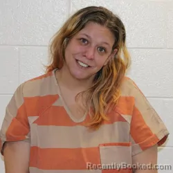 Mugshot of DANIELLE RAE CALLEN