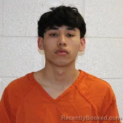 Mugshot of JAVIER ALLEN TREJO HERNANDEZ