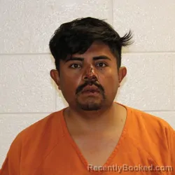 Mugshot of JORGE HERNANDEZ HERNANDEZ