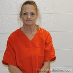 Mugshot of JUANITA LYNN HARVEY