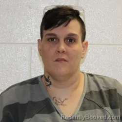 Mugshot of JESSICA ANNE ISON
