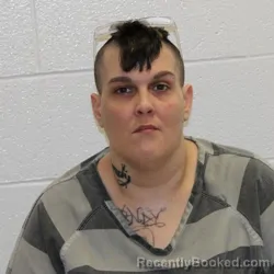 Mugshot of JESSICA ANNE ISON