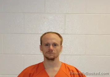 Mugshot of JOSHUA DAVID RILEY