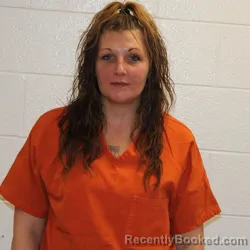 Mugshot of KARA ANN SHEILDS