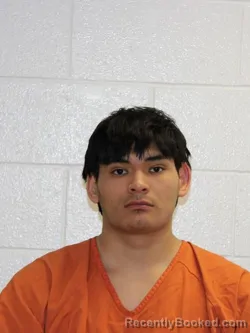 Mugshot of LEONARDO LARIOS