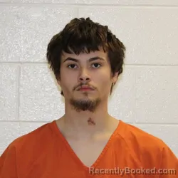 Mugshot of TODD JASON PHARIS