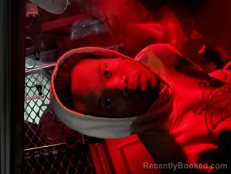 Mugshot of DAMEARRIOUS WILSON