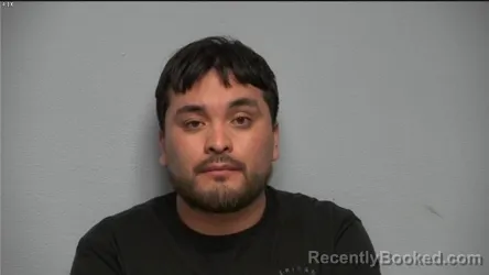 Mugshot of RICARDO VARGAS