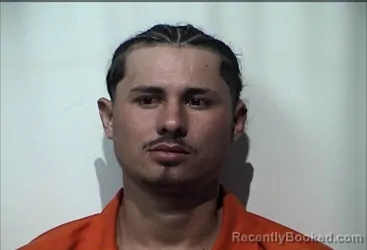 Mugshot of SABILLON FERNANDEZ EVER