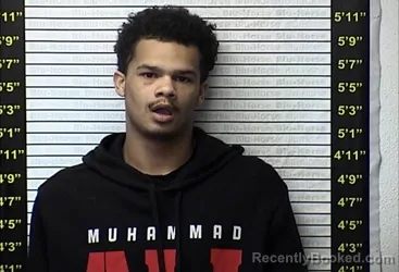 Mugshot of MYCAH TURNER