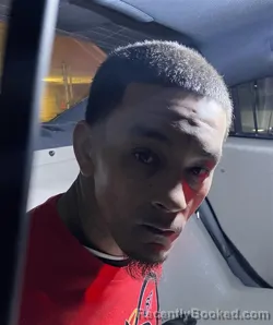 Mugshot of JOSHUA WHITE