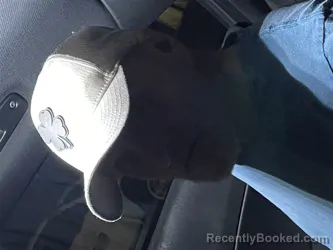 Mugshot of DONALD RAY GREESON