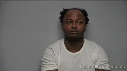 Mugshot of EMERSON R WELLS