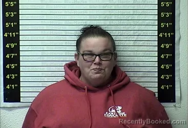 Mugshot of CORTNI N ELLIS