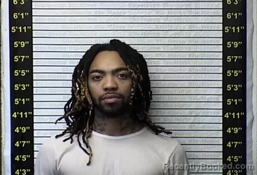 Mugshot of TREVIER L BARNES