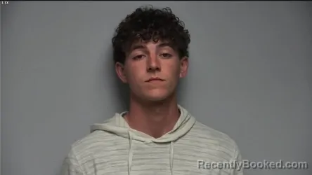 Mugshot of PEYTON BRADLEY PURVIS