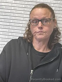 Mugshot of MELITA A PAINTER