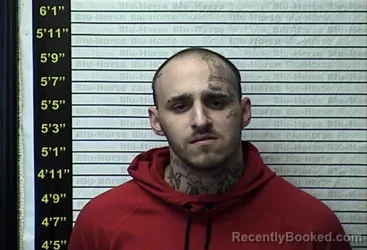 Mugshot of CHANCE PHILLIP HARGROVE