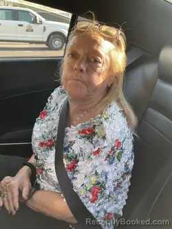 Mugshot of DEBRA L CLINE