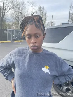 Mugshot of THERISSA MORRIS