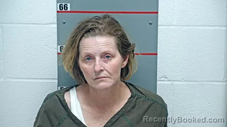 Mugshot of MISTY DAWN EVANS booked in Grayson County, Kentucky on May 12, 2026