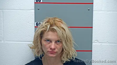 Mugshot of SAMANTHA LAWRENCE booked in Grayson County, Kentucky on July 6, 2026