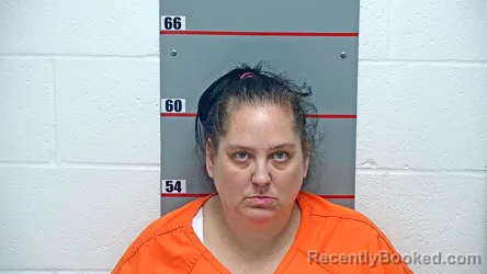 Mugshot of ANGELA RAYE LEMONS booked in Grayson County, Kentucky on March 30, 2026