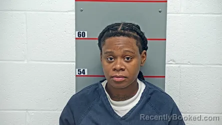 Mugshot of DE AISJIA SHRIVERS