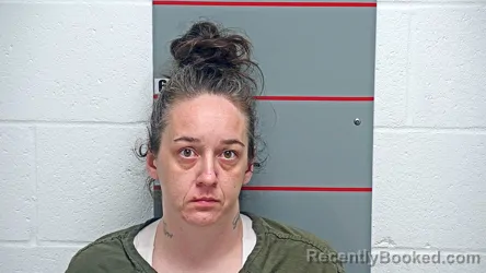 Mugshot of AMY LOWE booked in Grayson County, Kentucky on June 29, 2026
