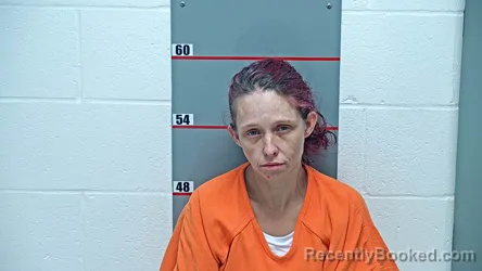 Mugshot of Ashley Lee Lamb booked in Grayson County, Kentucky on October 17, 2026