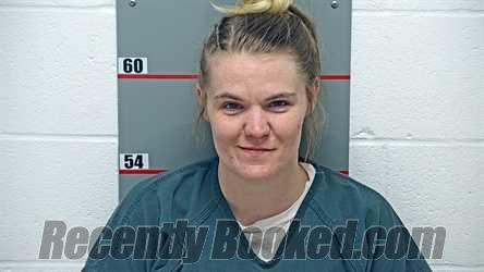 Booking photo from Grayson County, Kentucky