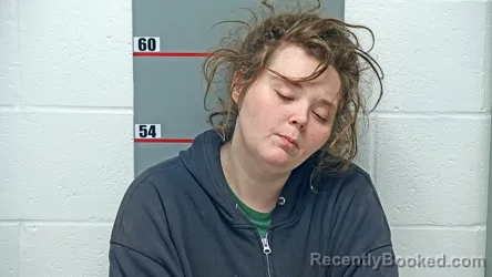 Mugshot of SHEILA LINDSEY booked in Grayson County, Kentucky on March 26, 2026