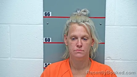 Mugshot of ERIN M ROBERTS booked in Grayson County, Kentucky on June 26, 2026