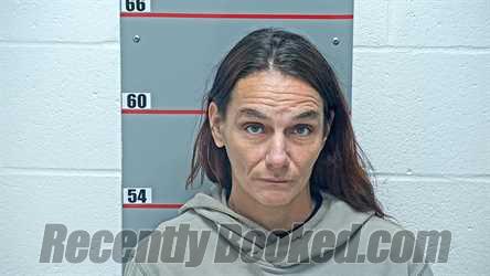 Booking photo from Grayson County, Kentucky