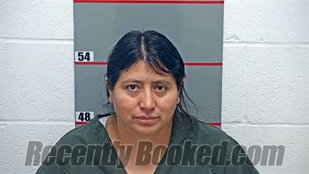 Booking photo from Grayson County, Kentucky