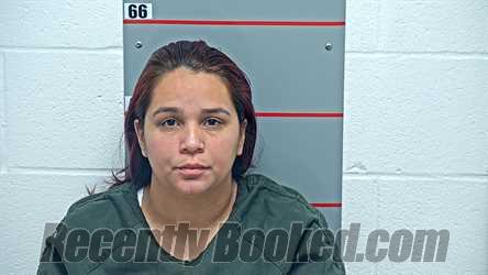 Booking photo from Grayson County, Kentucky