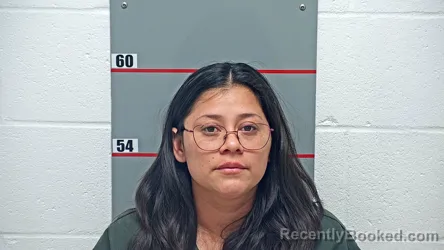 Mugshot of INGRID MENDEZ-VELASQUEZ