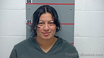 Mugshot of ROSA TREMINIO