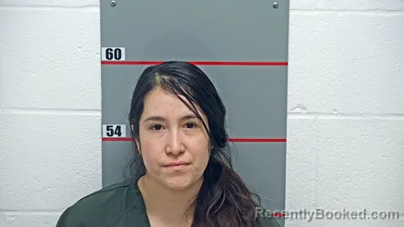 Mugshot of DIANA SANCHEZ-COLIN