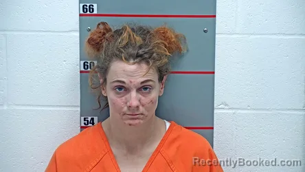 Booking photo from Grayson County, Kentucky