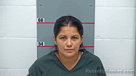 Mugshot of REYNA MERCEDES ALCERRO FLORES