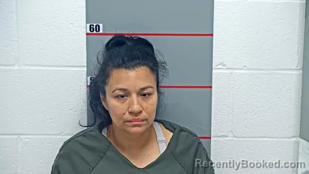 Mugshot of DEYSI MONTANEZ MOLINA