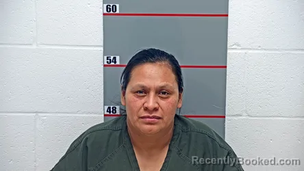 Mugshot of BRENDA SAQUICHE-VICENTE