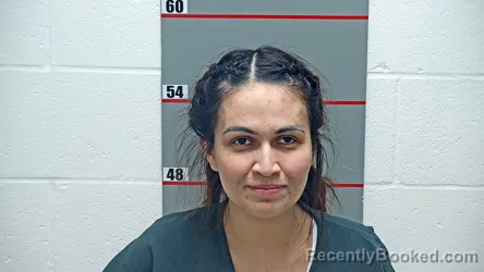 Booking photo from Grayson County, Kentucky