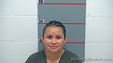 Booking photo from Grayson County, Kentucky