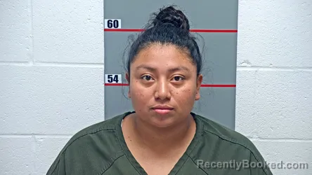 Mugshot of IVANIA FLORES-GARCIA