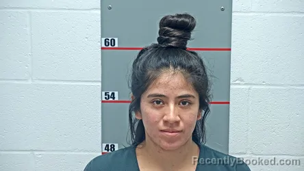 Mugshot of EVELYN LUZ GARCIA